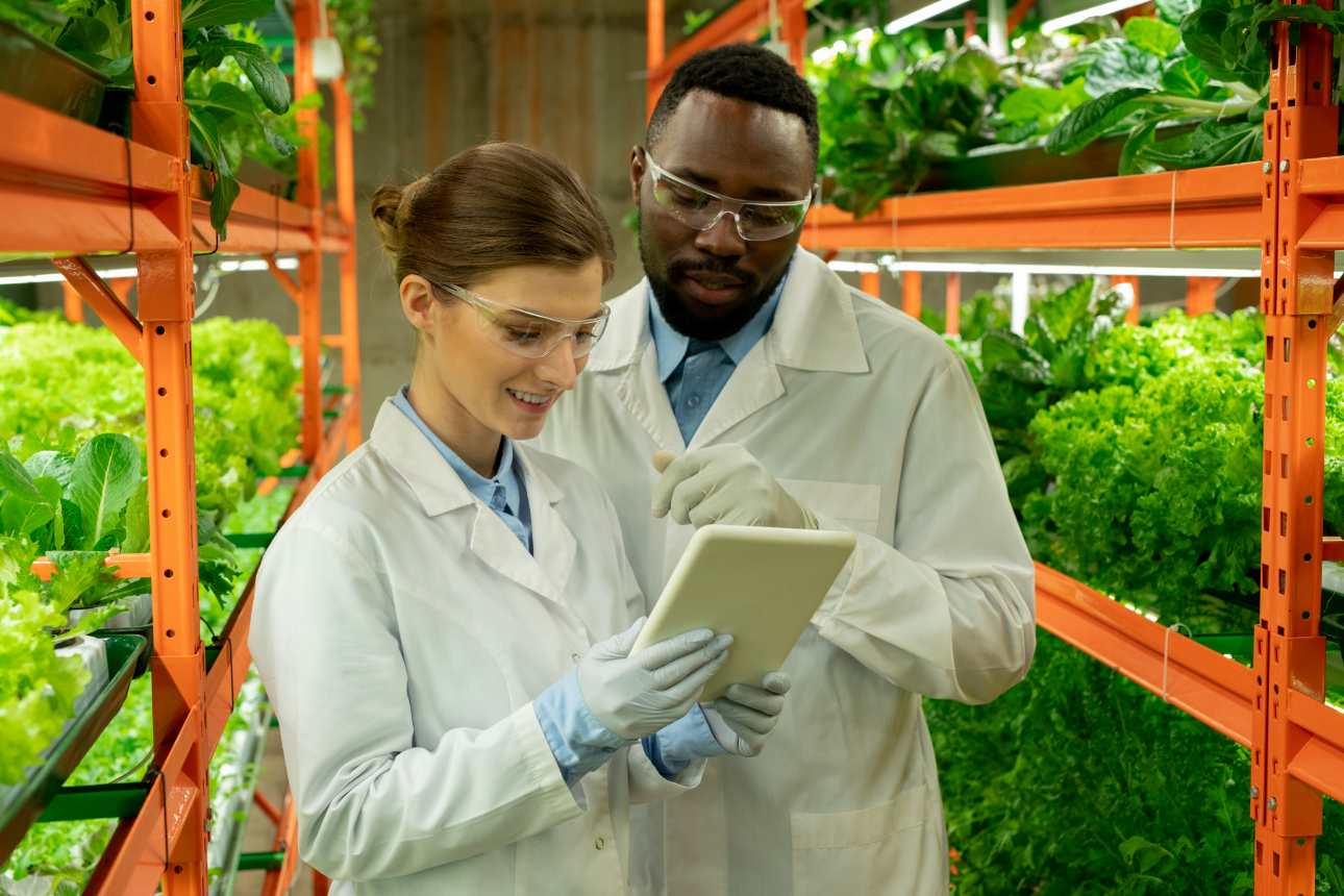 Greenhouse engineers maintaining ambient environmental controls
